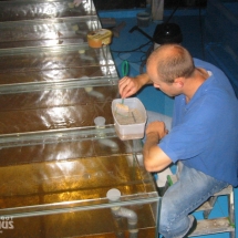 fischgut_ba_01g fischgut_ba_01g