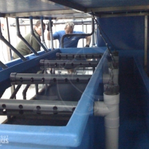 fischgut_ba_04g fischgut_ba_04g