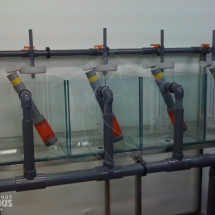 fischgut_ba_08g fischgut_ba_08g